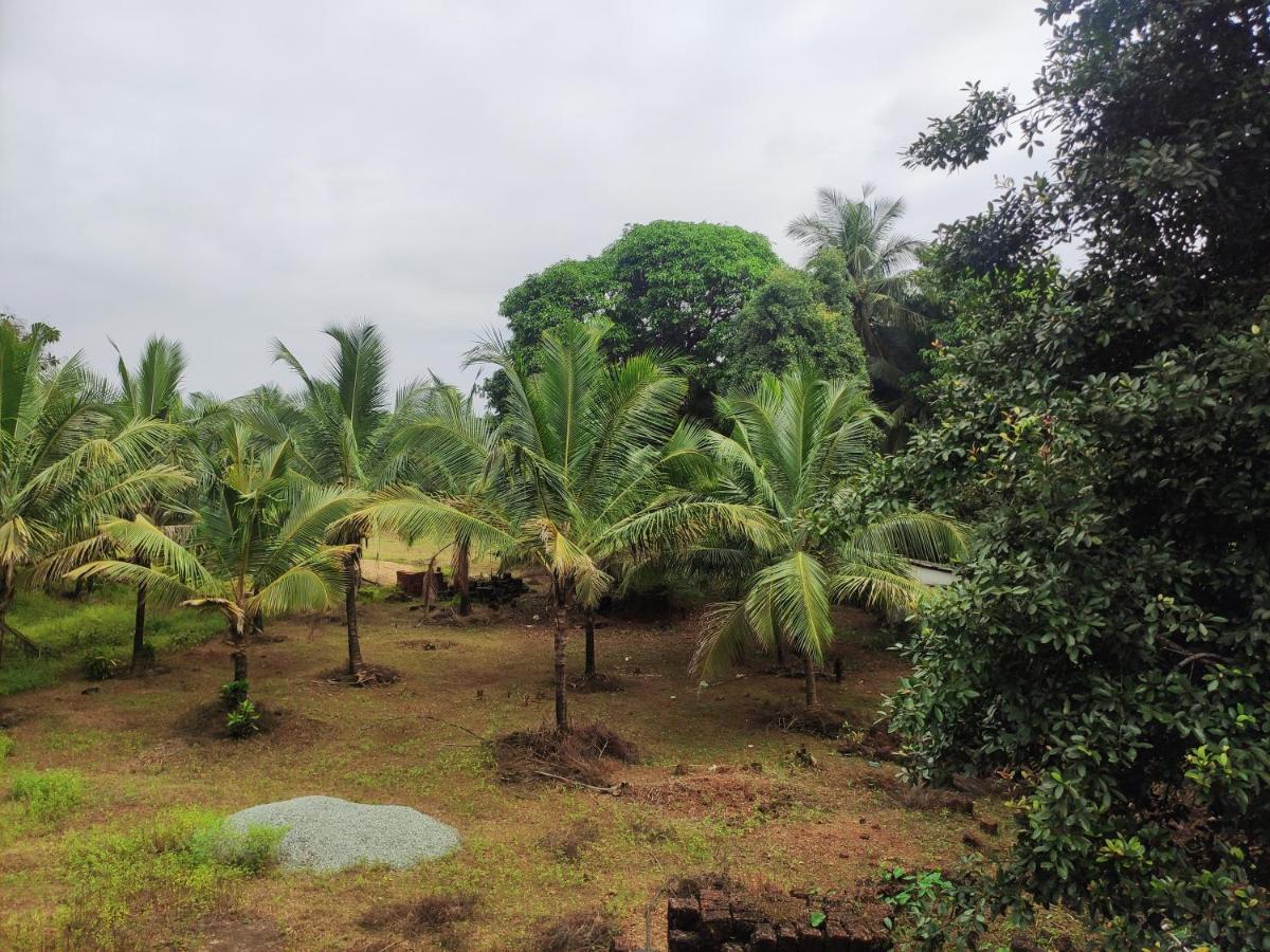 Sunny'S Paradise Gokarna (Karnataka) Quarto foto